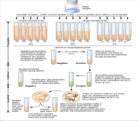oxidation fermentation test|multiple tube fermentation test.